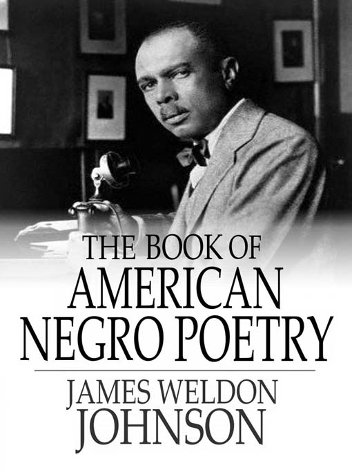 The Book of American Negro Poetry (eBook)